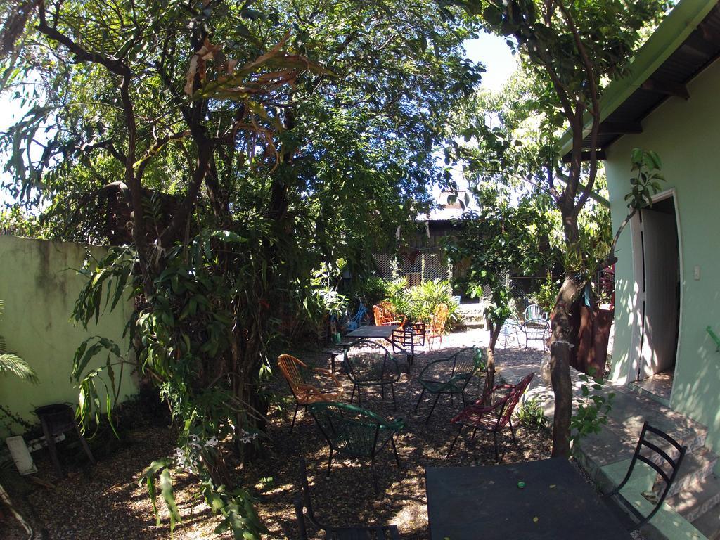 Hamaca Paraguaya Hostel Ασουνσιόν Εξωτερικό φωτογραφία