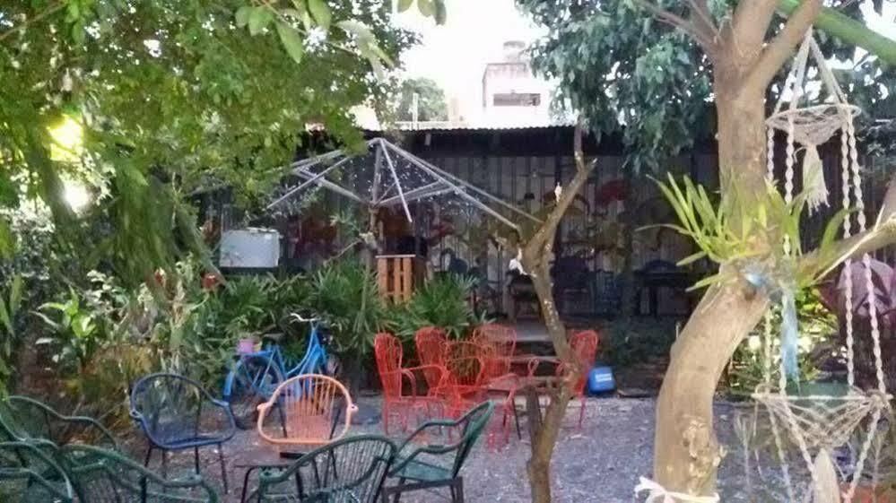 Hamaca Paraguaya Hostel Ασουνσιόν Εξωτερικό φωτογραφία
